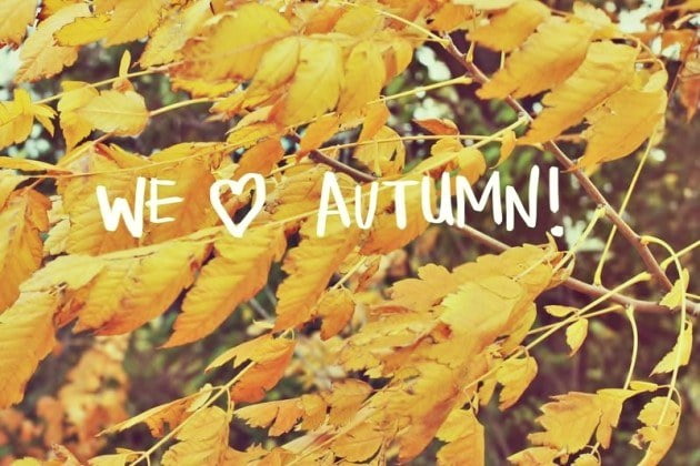 we love autumn x